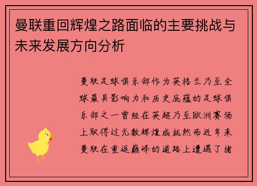 曼联重回辉煌之路面临的主要挑战与未来发展方向分析