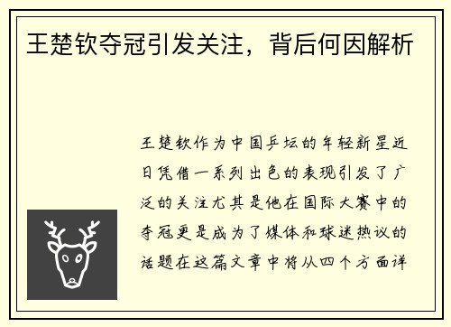 王楚钦夺冠引发关注,背后何因解析 王楚钦夺冠引发关注,背后何因解析