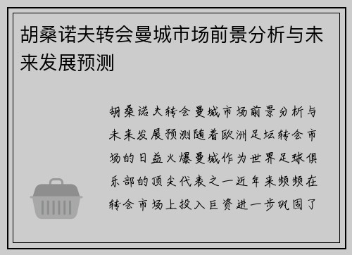 胡桑诺夫转会曼城市场前景分析与未来发展预测 胡桑诺夫转会曼城市场前景分析与未来发展预测
